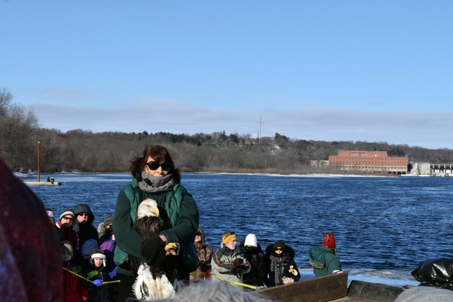 012019-sauk-gallery-eagle008